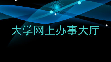 大学网上办事大厅