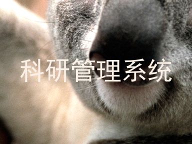 科研管理系统