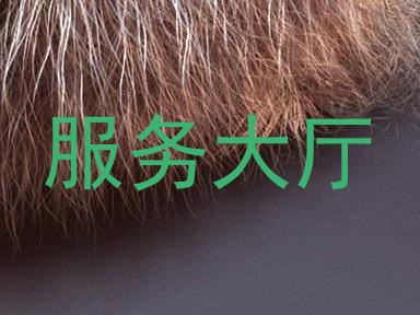 服务大厅