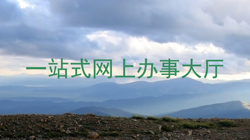 一站式网上办事大厅