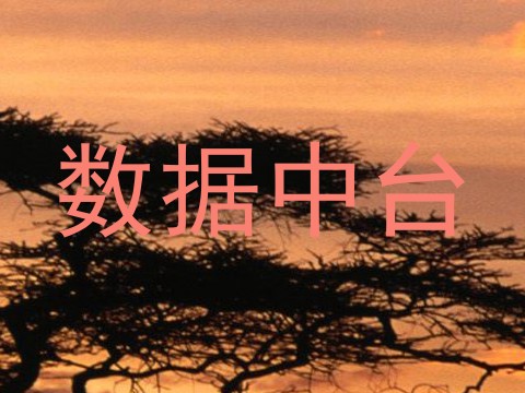 数据中台