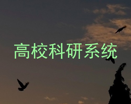高校科研系统