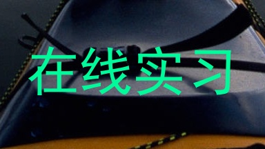 在线实习