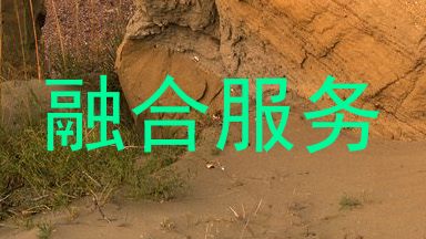 融合服务