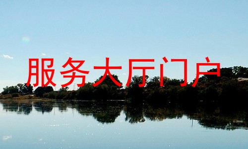服务大厅门户