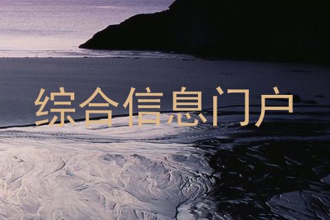 综合信息门户