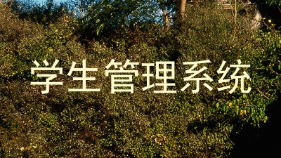 学生管理系统