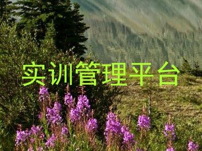 实训管理平台