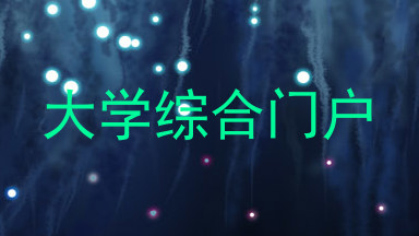 大学综合门户