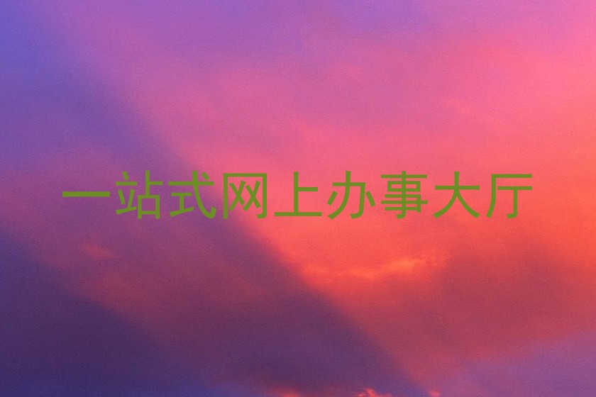 一站式网上办事大厅