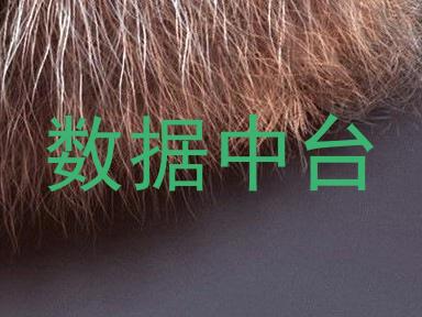 数据中台