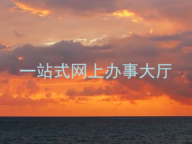 一站式网上办事大厅