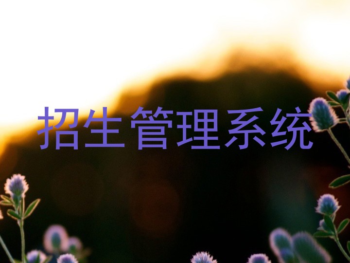 招生管理系统