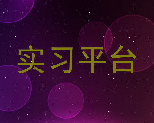 实习平台