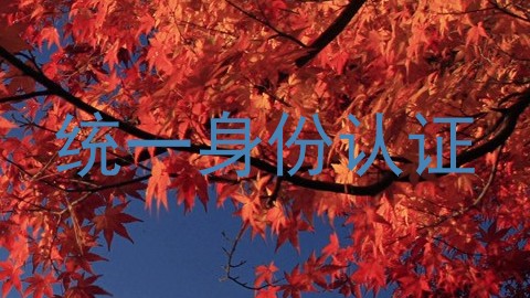统一身份认证