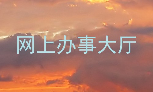 网上办事大厅