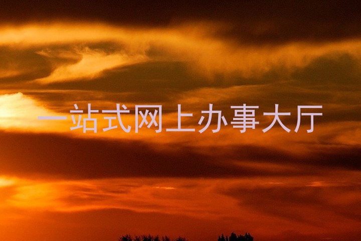 一站式网上办事大厅