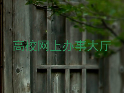 高校网上办事大厅