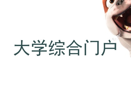 大学综合门户