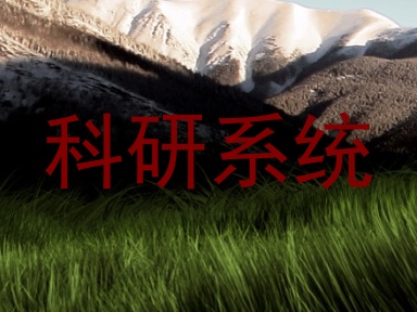 科研系统
