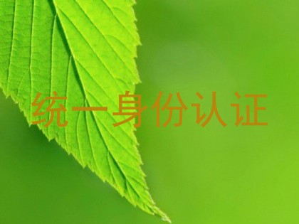统一身份认证