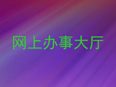 网上办事大厅