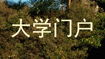 大学门户