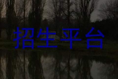 招生平台