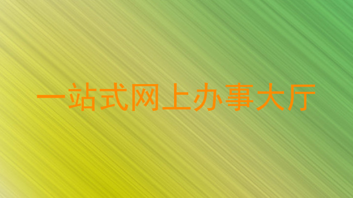 一站式网上办事大厅