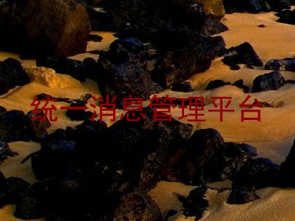 统一消息管理平台
