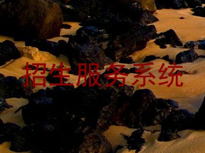 招生服务系统