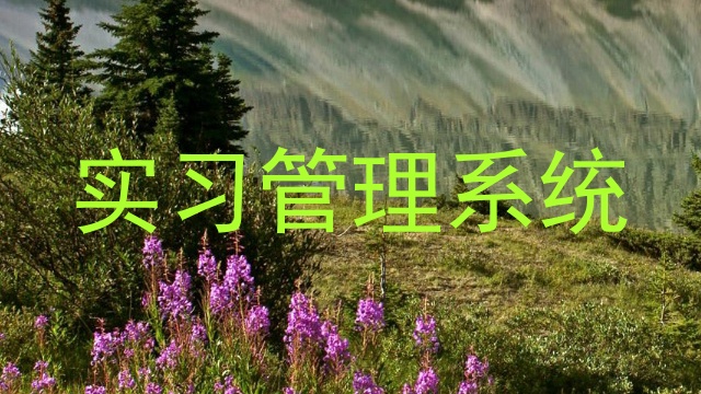 实习管理系统