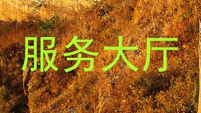 服务大厅