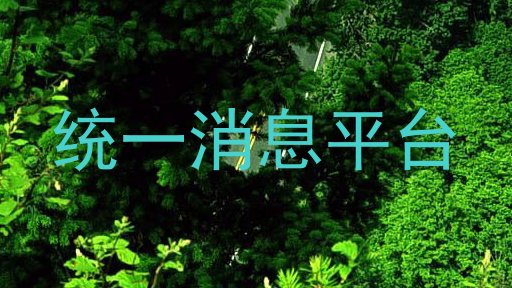 统一消息平台