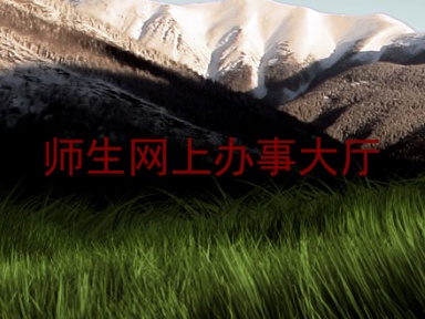 师生网上办事大厅