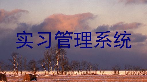 实习管理系统