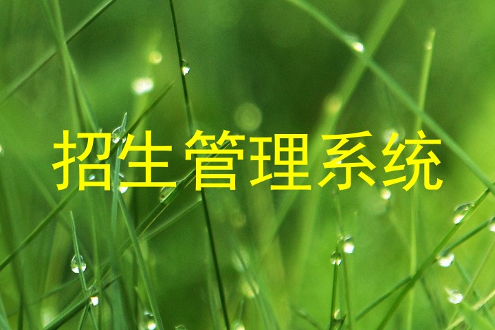 招生管理系统