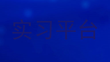 实习平台