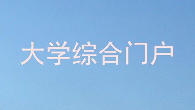 大学综合门户