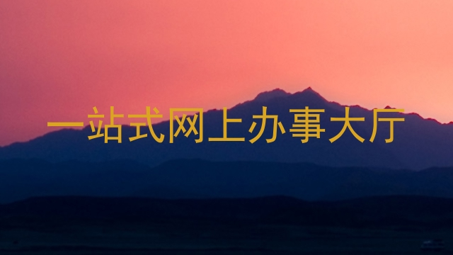 一站式网上办事大厅