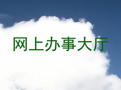 网上办事大厅