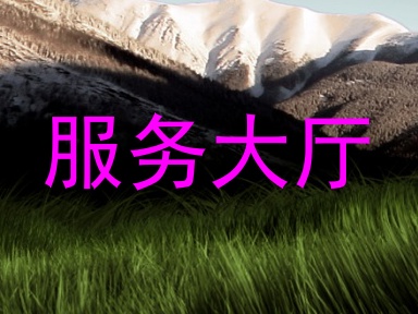 服务大厅