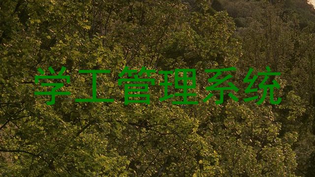 学工管理系统