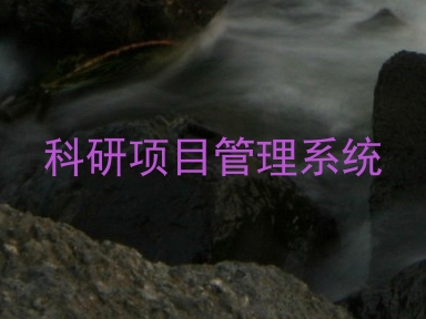 科研项目管理系统