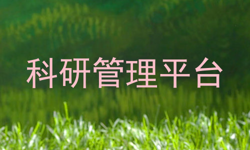 科研管理平台