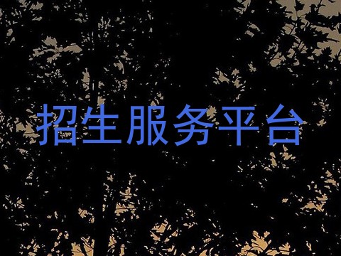 招生服务平台