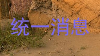 统一消息