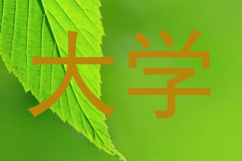 大学