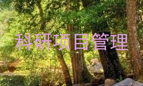 科研项目管理