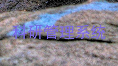科研管理系统